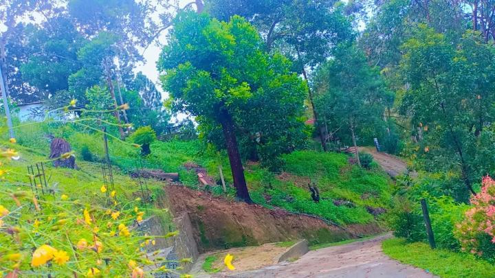 Ella Hillsite View Hotel Bagian luar foto