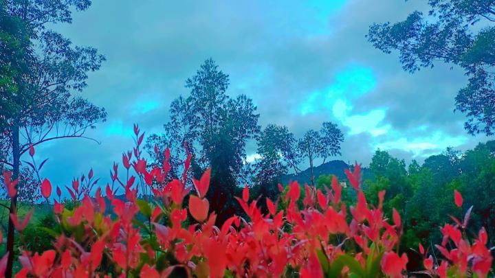 Ella Hillsite View Hotel Bagian luar foto