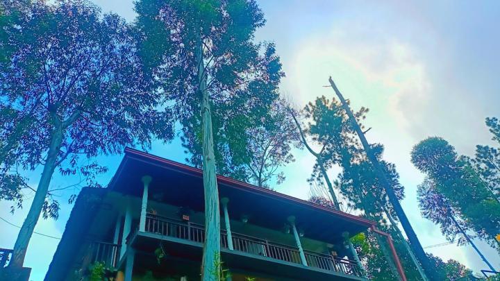 Ella Hillsite View Hotel Bagian luar foto
