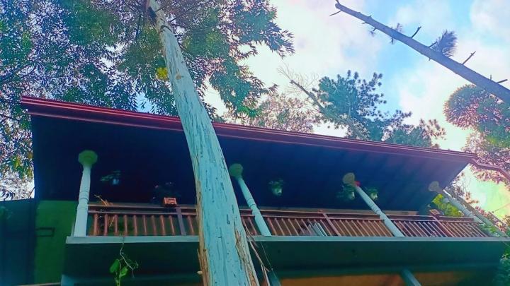 Ella Hillsite View Hotel Bagian luar foto