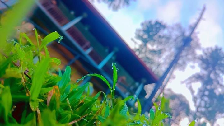 Ella Hillsite View Hotel Bagian luar foto