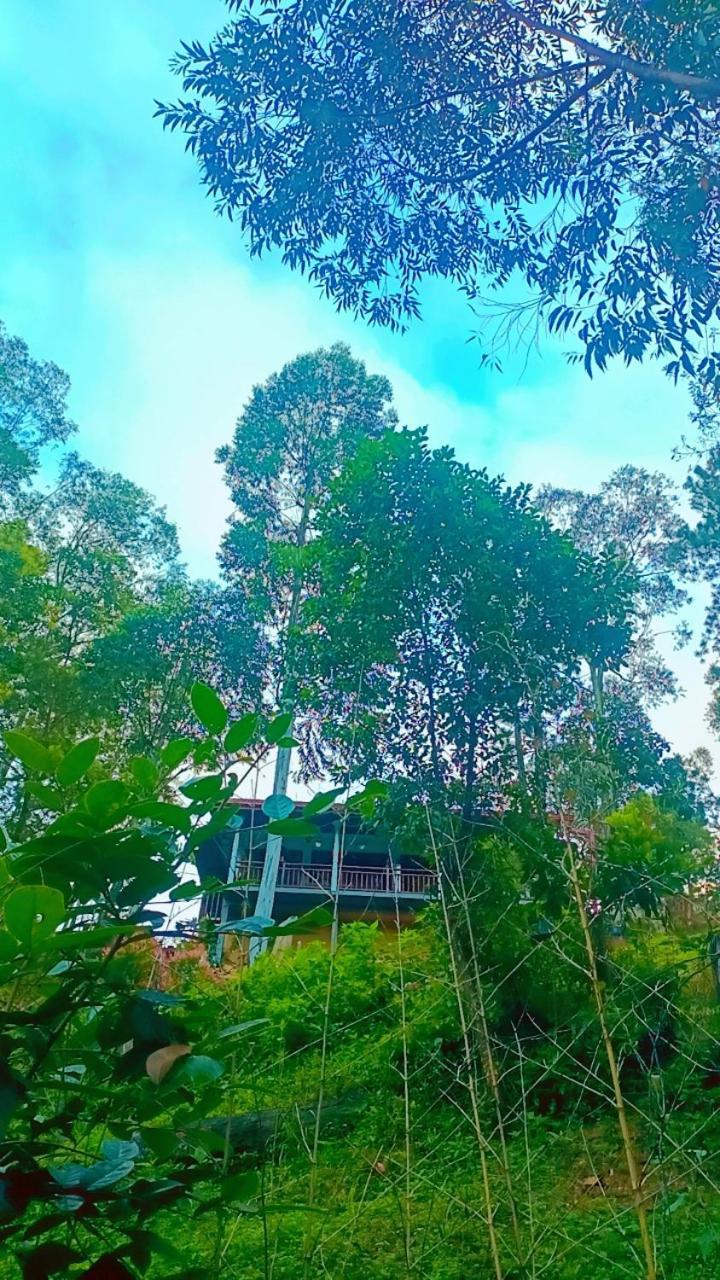 Ella Hillsite View Hotel Bagian luar foto