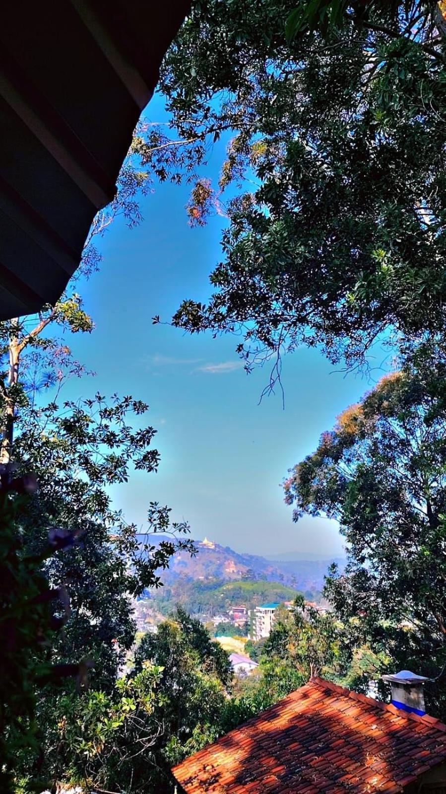Ella Hillsite View Hotel Bagian luar foto