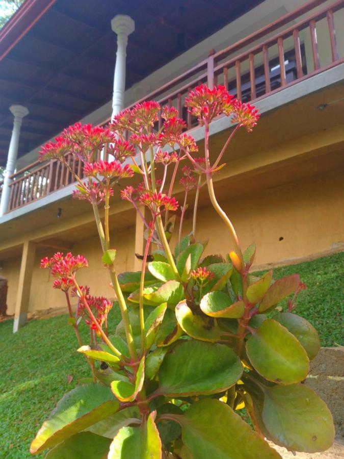 Ella Hillsite View Hotel Bagian luar foto